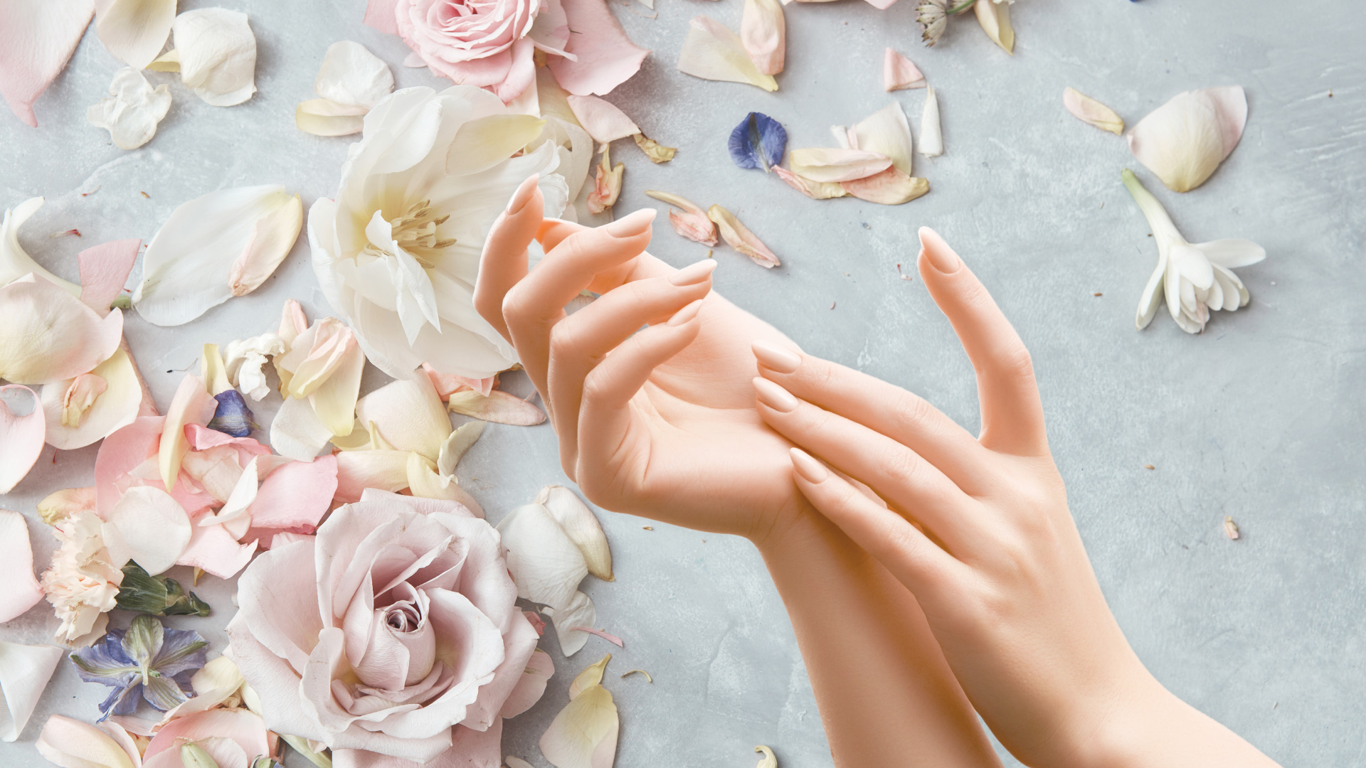 フェリスネイルスクール イメージ画像 ネイル